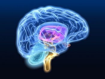 Complete Hormones Profile