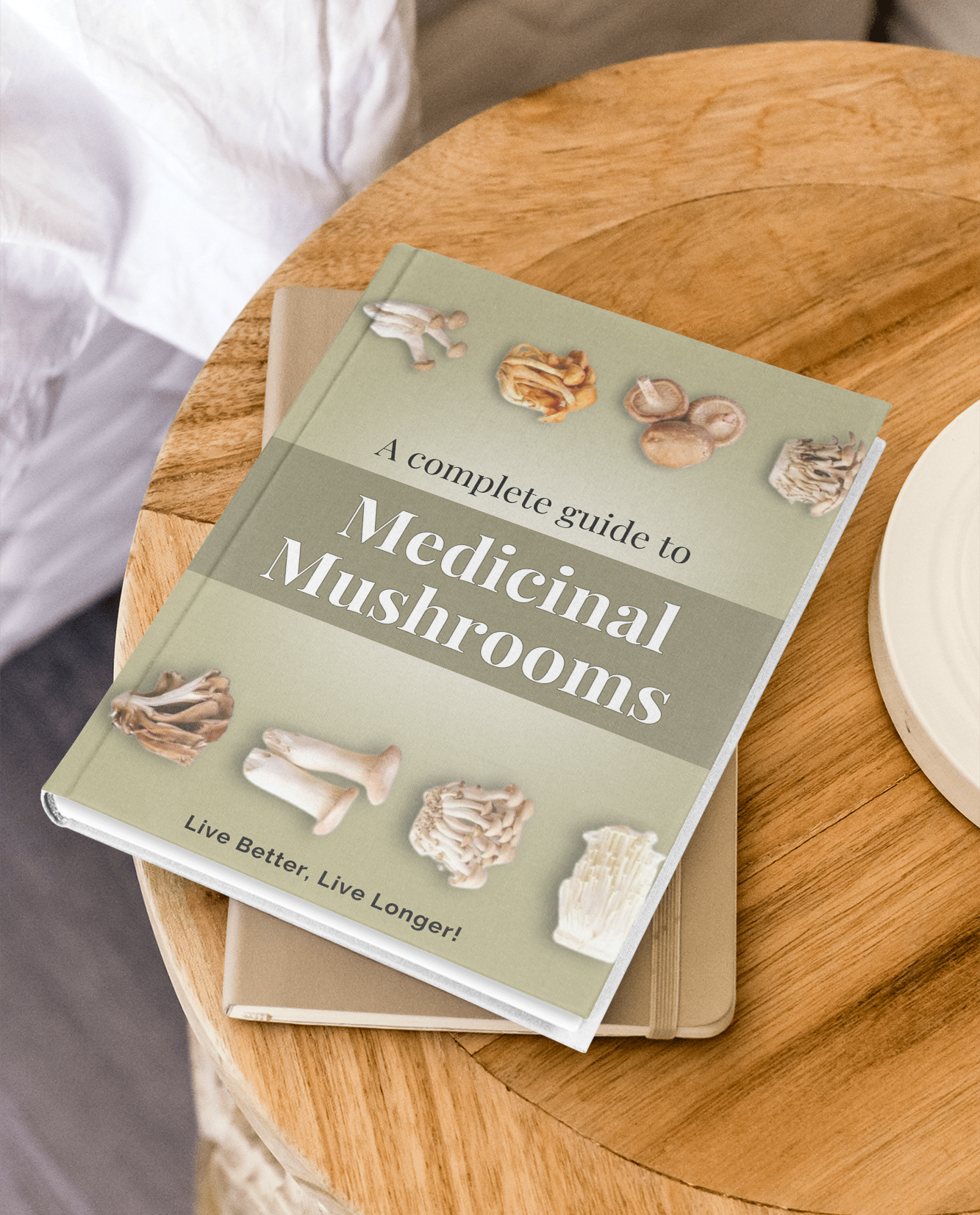Seva – Medicinal Mushrooms Guide>