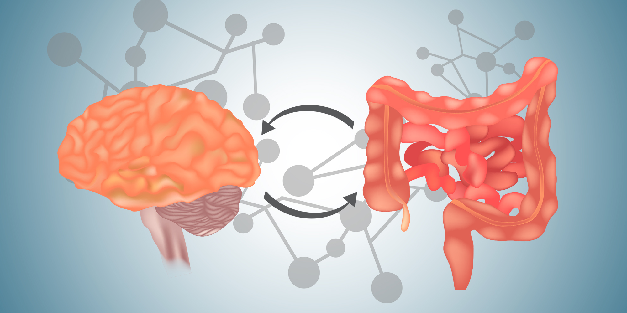 How Your Brain and Emotions Control Your Gut | Blog | Loyola Medicine